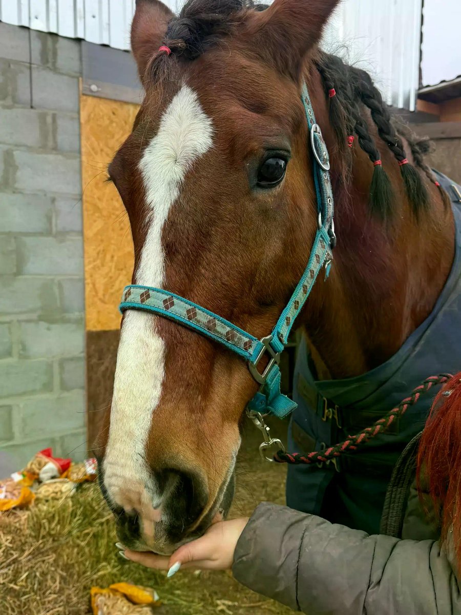 Ученики гимназии «Юнона» и волонтерский отряд «РОСТteam»